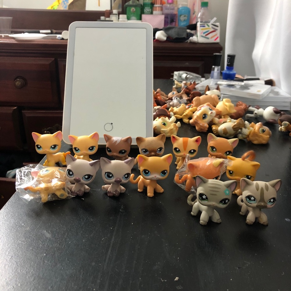 Littlest pet shop ( cats )